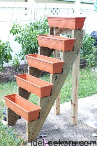 pot stairs herb