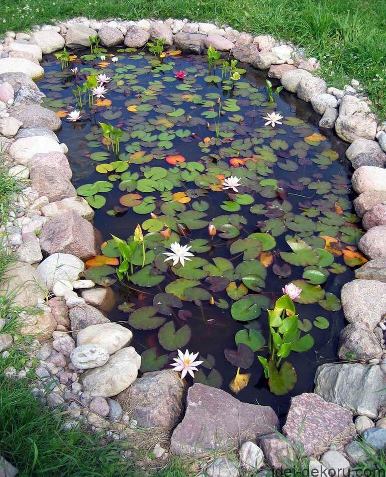 water lily pond stone