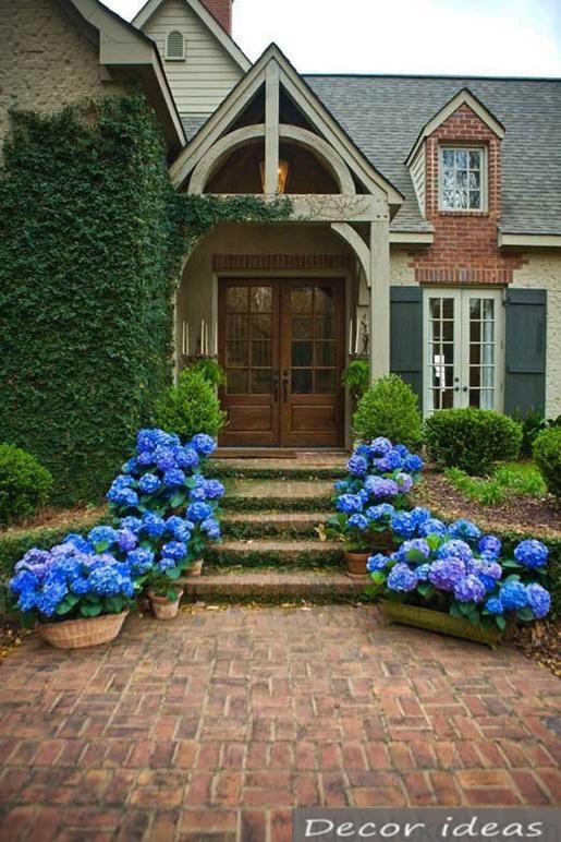 entrance to the house blue flowers