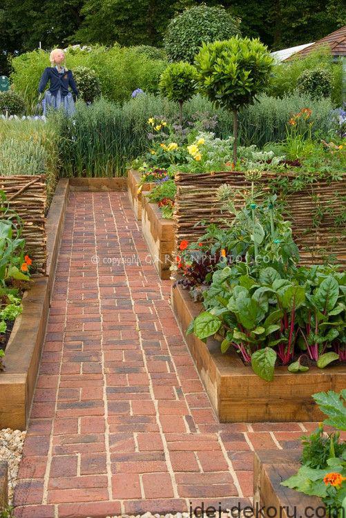 vegetables garden bed 