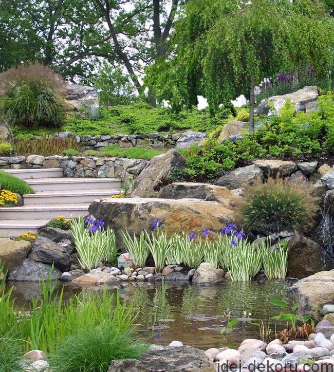 rock gardens and rockeries