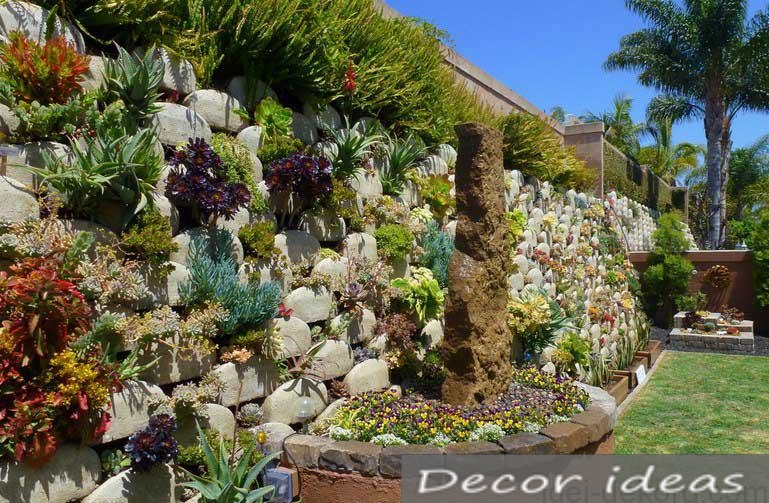 stone garden flowers path