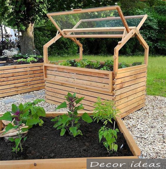 greenhouse vegetables wood