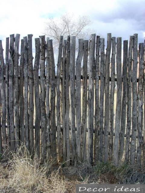 wooden raft of thin trunks