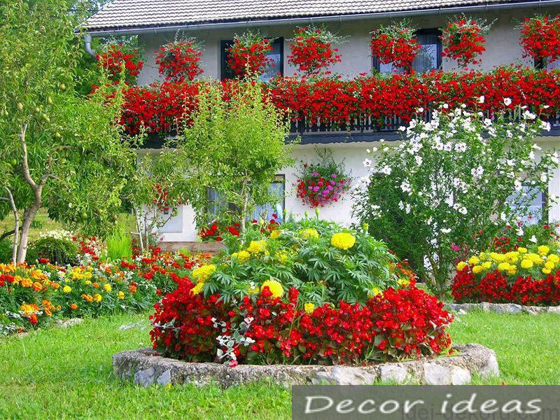 flowers window house garden