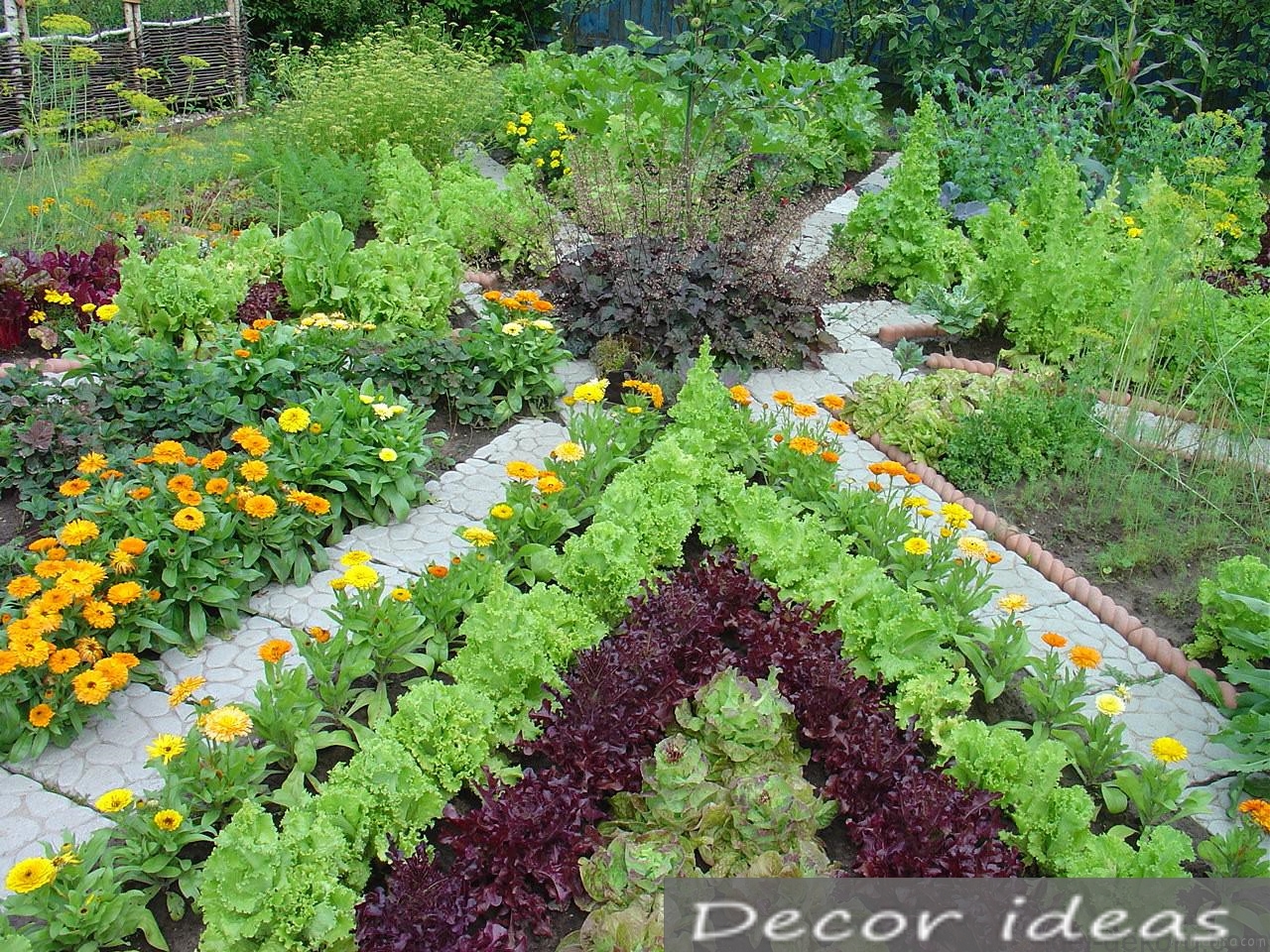 garden bed vegetables path