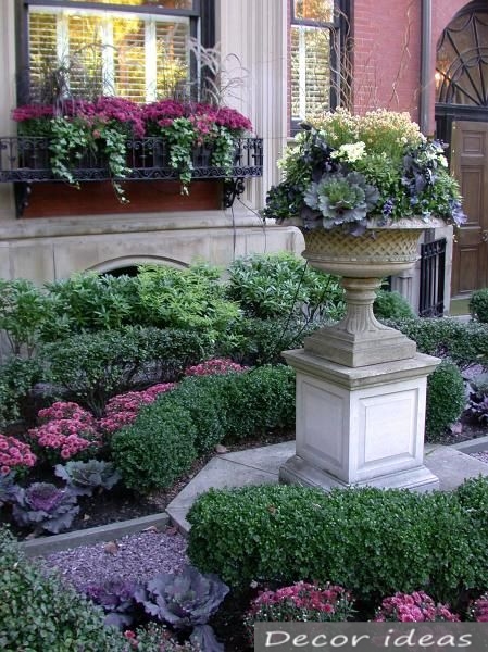 decorative cabbage bush pot garden