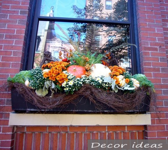 decorative cabbage pot window