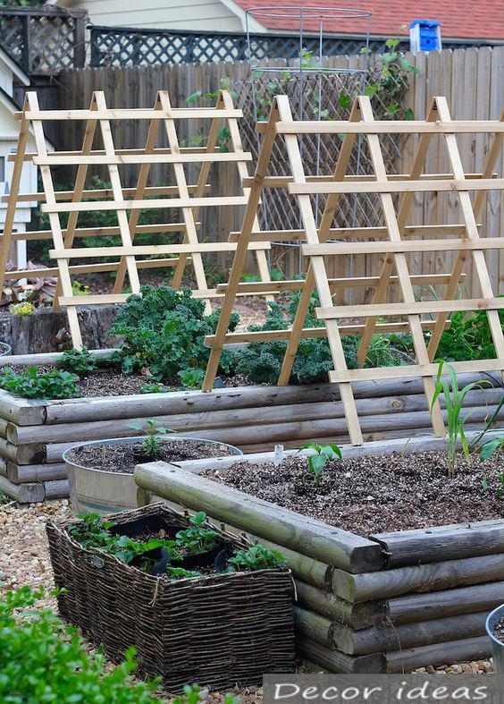 greenhouse garden vegetables