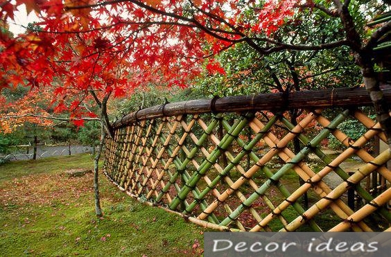 bamboo fence