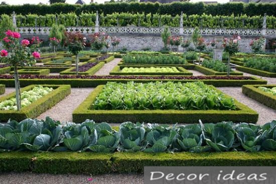 garden bed vegetables path