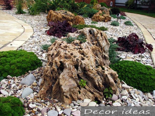 stone garden flowers path