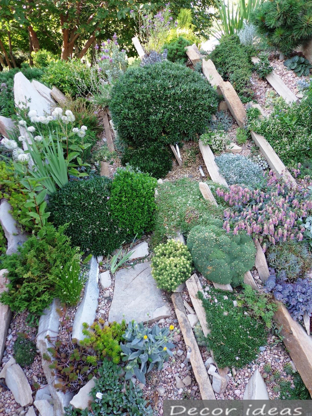 stone garden flowers path