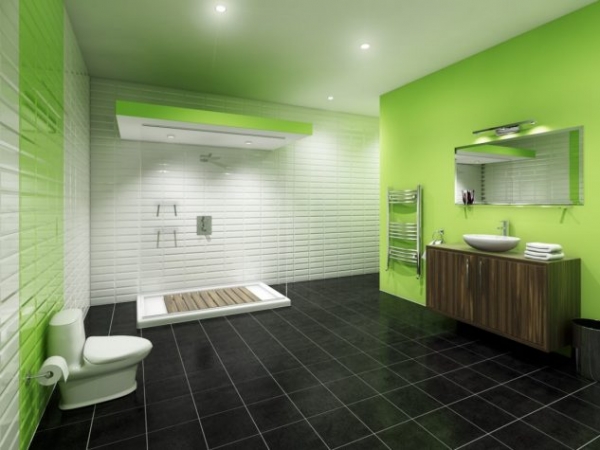 у ванні - чорні підлога та біло-зелені стіни