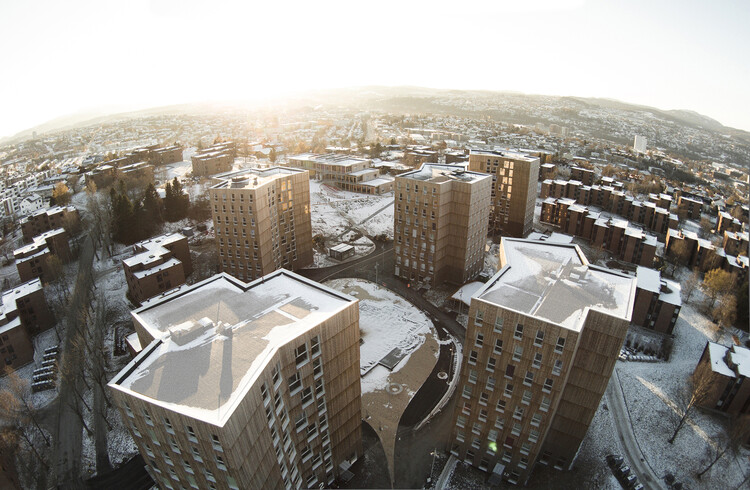 The Meteoric Rise of Cross-Laminated Timber Construction: 50 Projects that Use Engineered-Wood Architecture